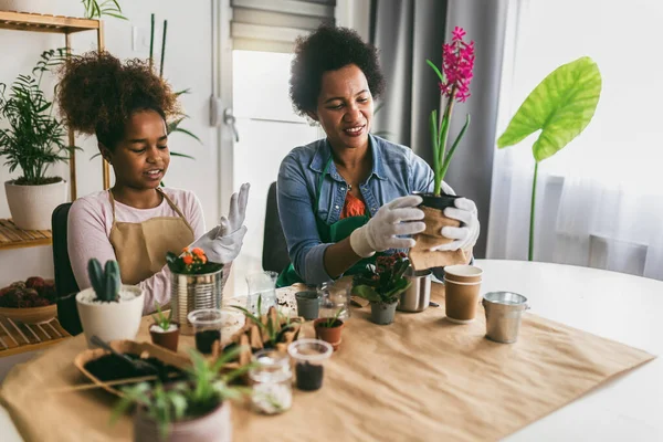 母親と娘が家に植え付けます 古い錫缶 プラスチック 段ボール 植物の種のアップサイクルとリサイクル — ストック写真