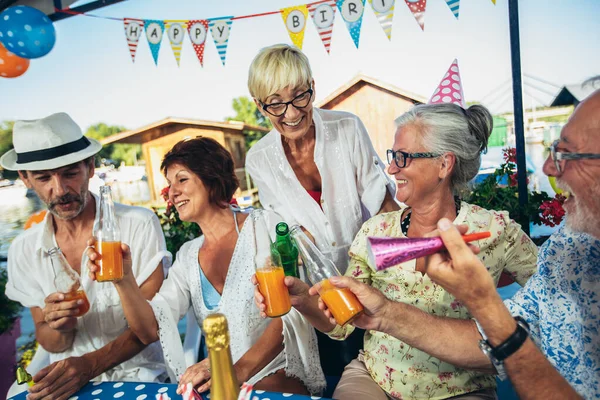 Pessoas Idosas Comemorando Aniversário Casa Campo Rio Divertindo — Fotografia de Stock