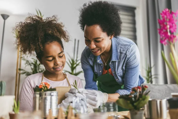 Mutter Und Tochter Pflanzen Hause Upcycling Und Recycling Alter Blechdosen — Stockfoto