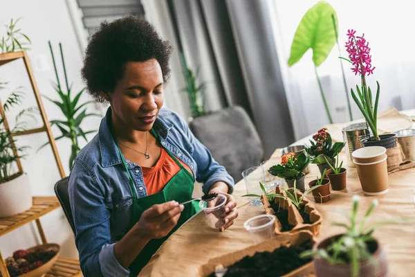 Mujer Trasplantando Flores Casa Concepto Jardín Casa Primavera — Foto de Stock