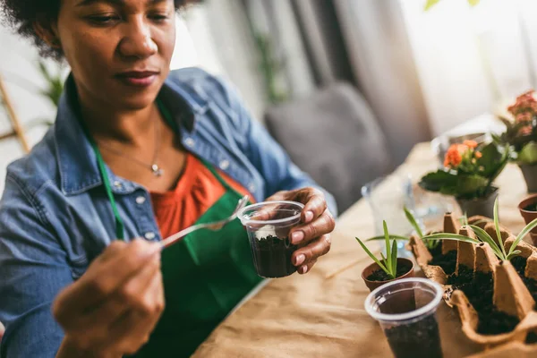 Mujer Trasplantando Flores Casa Concepto Jardín Casa Primavera — Foto de Stock