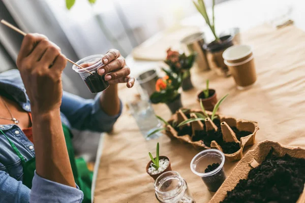 Mujer Trasplantando Flores Casa Concepto Jardín Casa Primavera — Foto de Stock