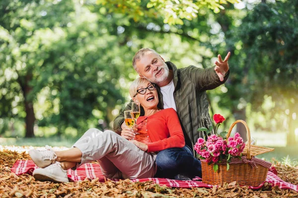 Feliz Pareja Ancianos Haciendo Picnic Parque Haciendo Brindis —  Fotos de Stock