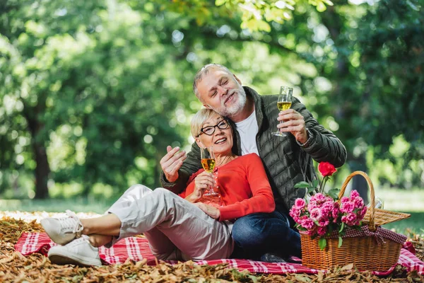 快乐的老夫妇在公园野餐 举杯庆祝 — 图库照片
