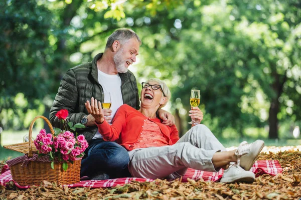 Mutlu Yaşlı Çift Parkta Piknik Yapıyor Kadeh Kaldırıyor — Stok fotoğraf