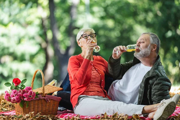 快乐的老夫妇在公园野餐 举杯庆祝 — 图库照片
