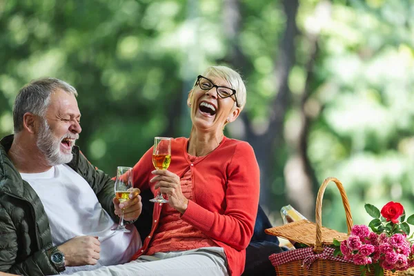 Mutlu Yaşlı Çift Parkta Piknik Yapıyor Kadeh Kaldırıyor — Stok fotoğraf