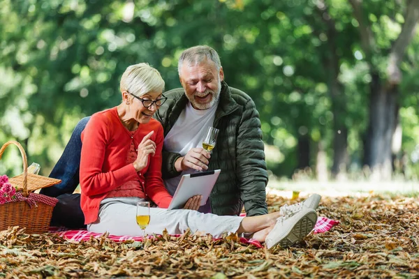 快乐的老夫妇在公园野餐用数码平板电脑打来视频电话 — 图库照片