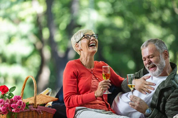 Feliz Pareja Ancianos Haciendo Picnic Parque Haciendo Brindis —  Fotos de Stock