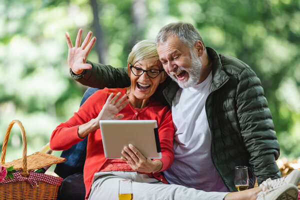 Happy senior couple having a picnic in park make video call using digital tablet
