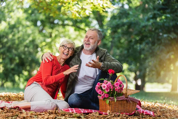Mutlu Yaşlı Çift Parkta Piknik Yapıyor — Stok fotoğraf