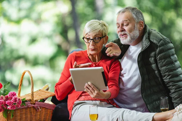 Happy Senior Couple Having Picnic Park Make Video Call Using — Fotografia de Stock