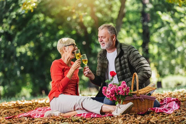 Feliz Pareja Ancianos Haciendo Picnic Parque Haciendo Brindis —  Fotos de Stock