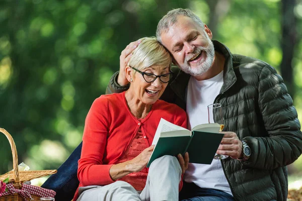 Glad Senior Par Som Har Picknick Parken — Stockfoto