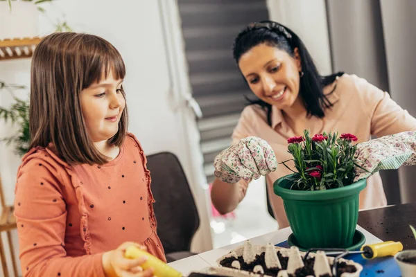 Menina Bonito Ajuda Sua Mãe Cuidar Plantas — Fotografia de Stock