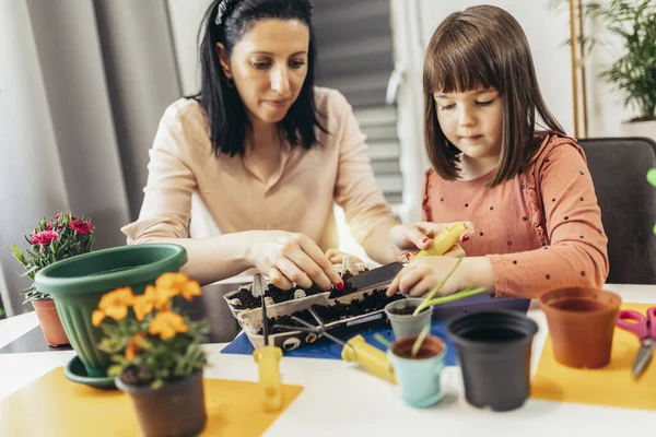 Menina Bonito Ajuda Sua Mãe Cuidar Plantas — Fotografia de Stock