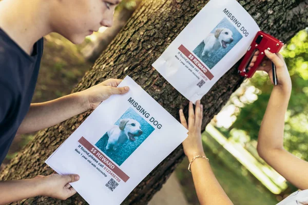 Gyerekek Egy Eltűnt Kutyát Keresnek Plakátokat Tesznek — Stock Fotó