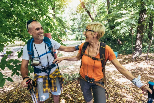 Oudere Echtparen Wandelen Het Bos Met Rugzakken Wandelpalen Nordic Walking — Stockfoto