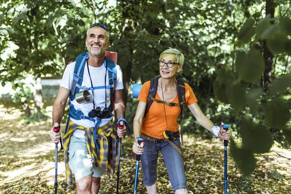 Senior Couple Hiking Forest Wearing Backpacks Hiking Poles Nordic Walking — Stock Photo, Image
