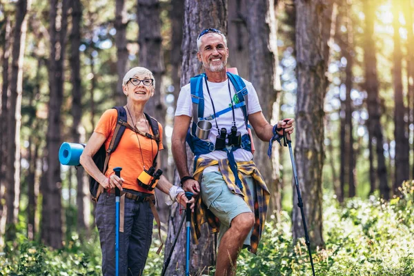 Starsza Para Wędrująca Lesie Plecakach Biegunach Turystycznych Nordic Walking Trekking — Zdjęcie stockowe