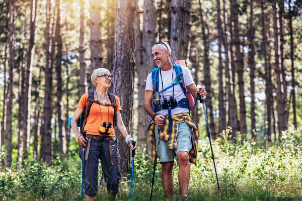 Seniorenpaar Mit Rucksack Und Wanderstöcken Wald Unterwegs Nordic Walking Trekking — Stockfoto
