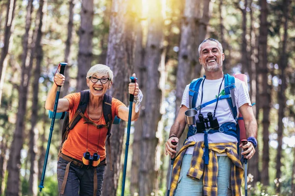 Starsza Para Wędrująca Lesie Plecakach Biegunach Turystycznych Nordic Walking Trekking — Zdjęcie stockowe