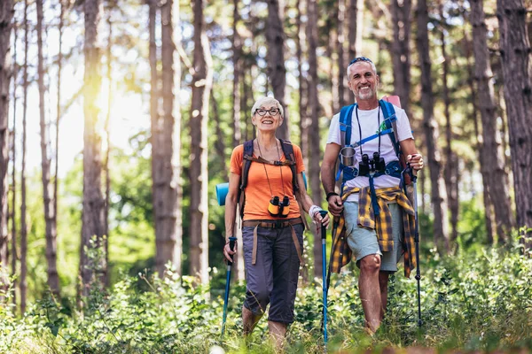 Oudere Echtparen Wandelen Het Bos Met Rugzakken Wandelpalen Nordic Walking — Stockfoto