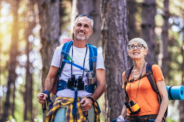 Oudere Echtparen Wandelen Het Bos Met Rugzakken Wandelpalen Nordic Walking — Stockfoto