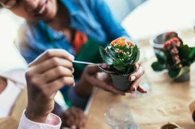 Anne ve kızı evde ekiyor, birlikte vakit geçiriyor ve eğleniyorlar. Eski teneke kutuları, plastikleri, karton ve bitki tohumlarını geri dönüştürme ve geri dönüştürme.