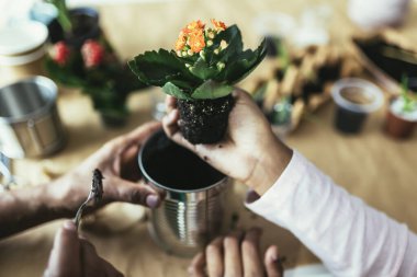 Anne ve kızı evde ekim yapıyor. Eski teneke kutuları, plastikleri, karton ve bitki tohumlarını geri dönüştürme ve geri dönüştürme.