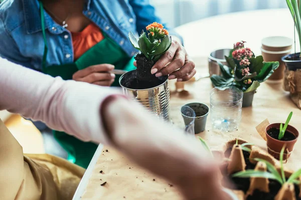 Madre Hija Plantando Casa Reciclaje Reciclaje Latas Viejas Plástico Cartón — Foto de Stock