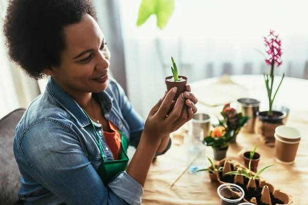 自宅で花を移植する女性 春の鉢植えのお手入れ — ストック写真