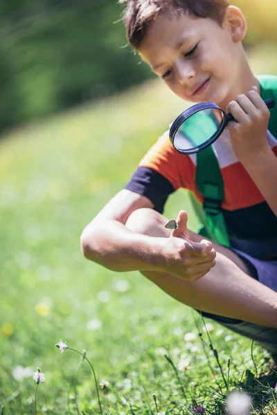 Молодий Хлопчик Вивчає Природу Лузі Збільшувальним Склом — стокове фото