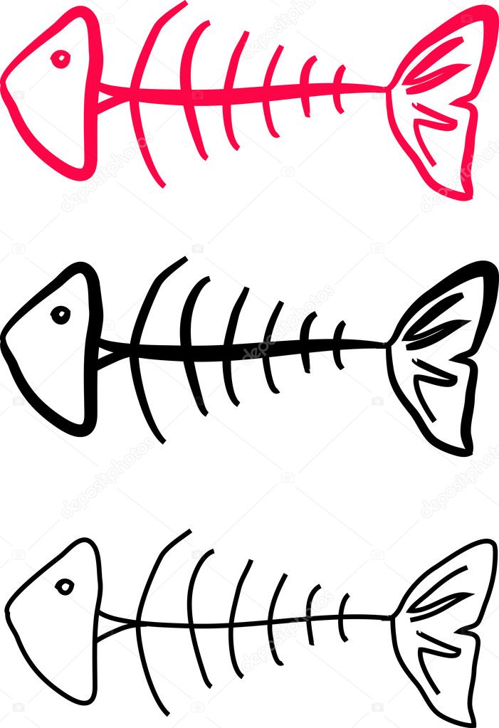 Skeleton of fish.