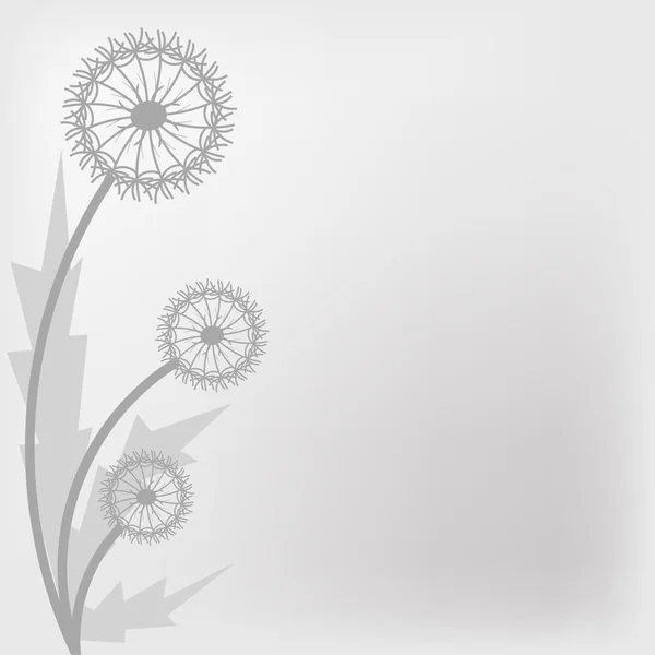 Πικραλίδα. αφηρημένη λουλούδια για το σχέδιό σας. — Διανυσματικό Αρχείο