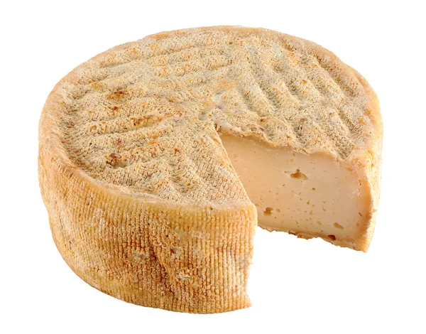 Queso de cabra — Foto de Stock