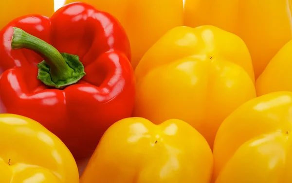 Bell Peppers Background — Stock Photo, Image