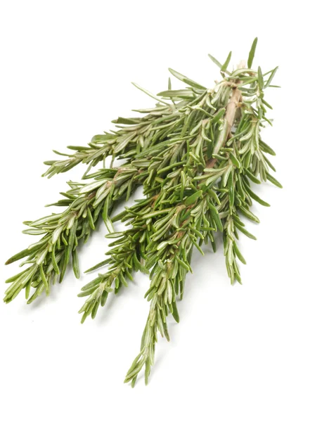 Sekelompok Rosemary — Stok Foto