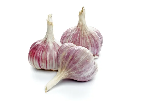 Garlic — Stock Photo, Image