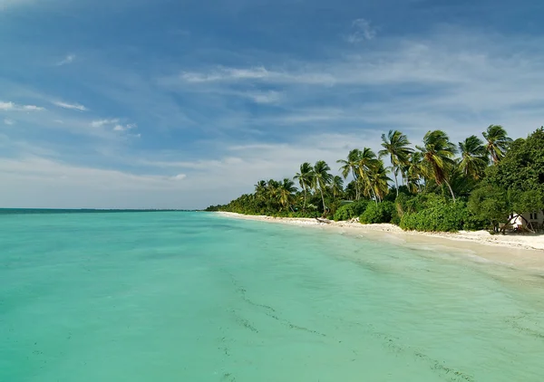 Maldív-szigeteki strand — Stock Fotó
