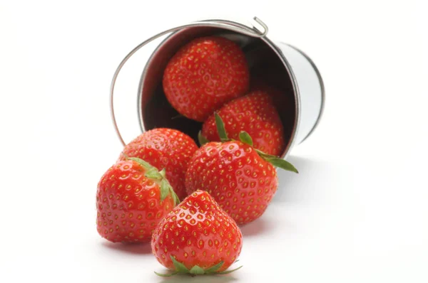 Erdbeere aus Eimer verstreut — Stockfoto