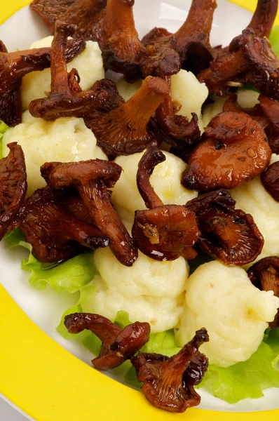 Roasted Chanterelles and Mushed Potato — Stockfoto