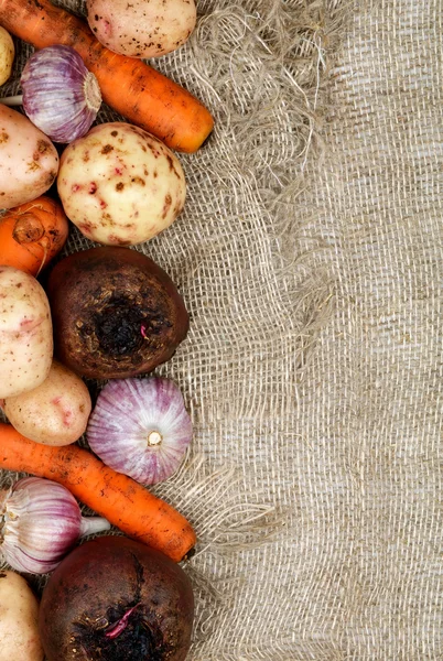 Frame of Vegetables — Stock Photo, Image