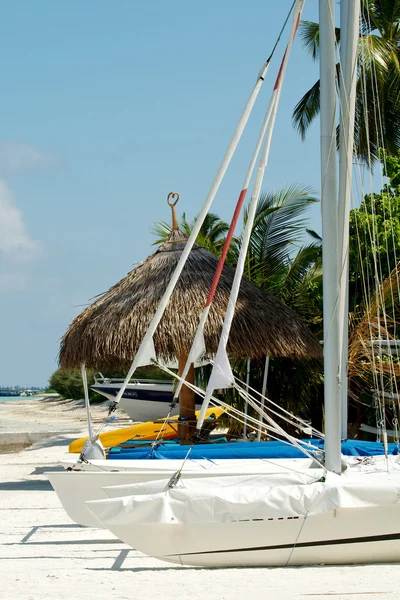 Barche sulla spiaggia — Foto Stock