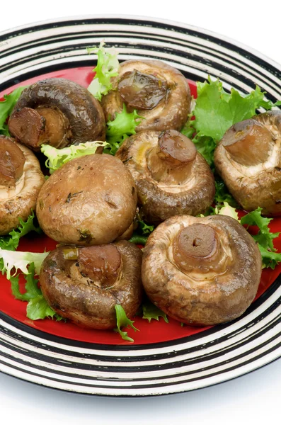 Gebratene Champignons — Stockfoto