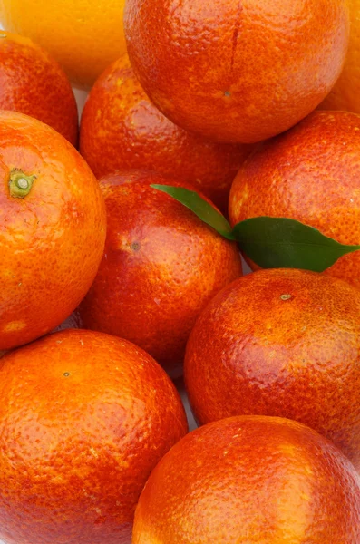 Blodige appelsiner Bakgrunn – stockfoto