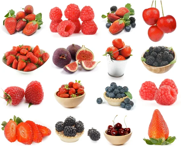 Collection of Berries — Stock Photo, Image
