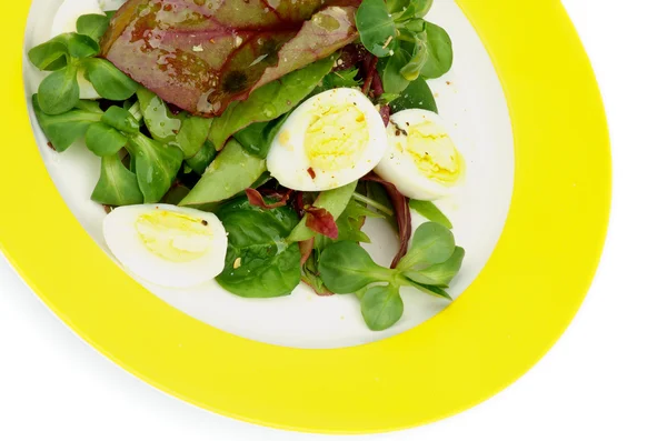 Grüner Salat — Stockfoto