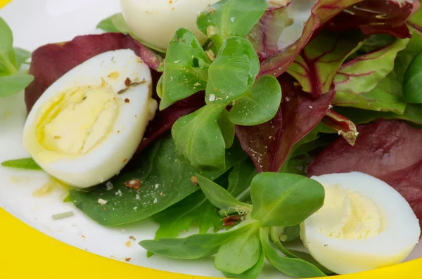 Grüner Salat — Stockfoto