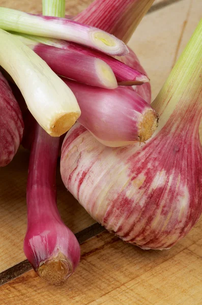 Garlic and Onion — Stock Photo, Image
